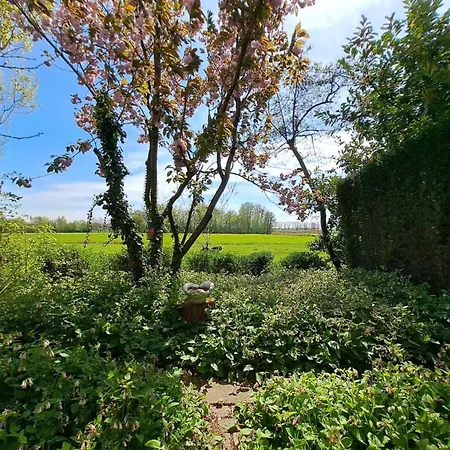 Cozy In Σπίτι διακοπών Haps