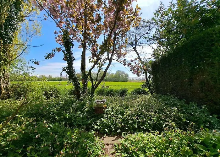 Cozy In Vakantiehuis Haps